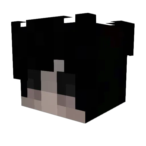NUTONMYHOMIES Minecraft avatar head, 3D render