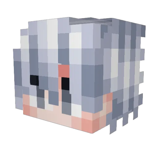 NUTZ_X2 Minecraft avatar head, 3D render