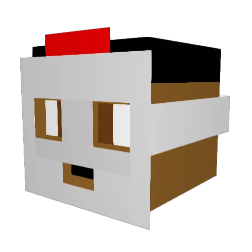 NVISHN_ Minecraft avatar head, 3D render