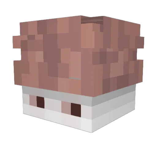 NVLYY Minecraft avatar head, 3D render