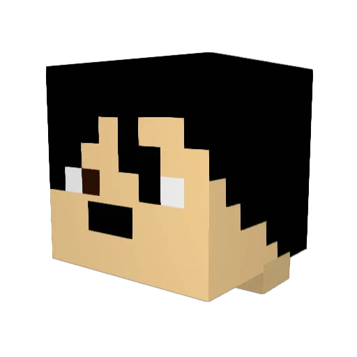 NWAGaming888 Minecraft avatar head, 3D render