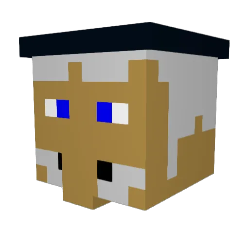 NWBA Minecraft avatar head, 3D render