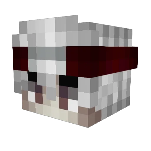 NWEA Minecraft avatar head, 3D render