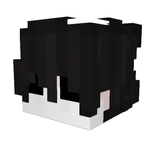 NWFKSA1 Minecraft avatar head, 3D render