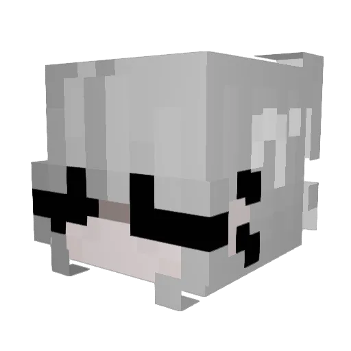 NWTQ Minecraft avatar head, 3D render