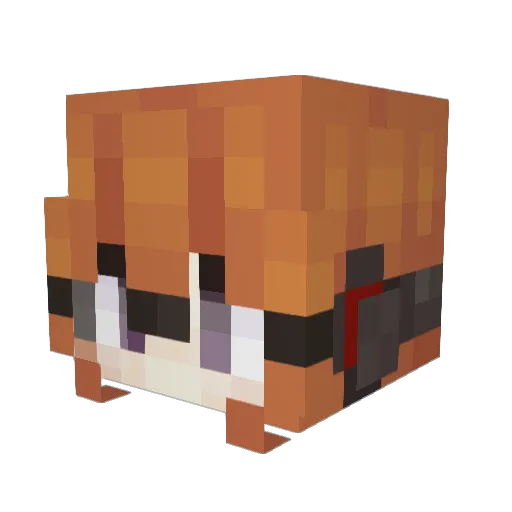 NWWDLE Minecraft avatar head, 3D render