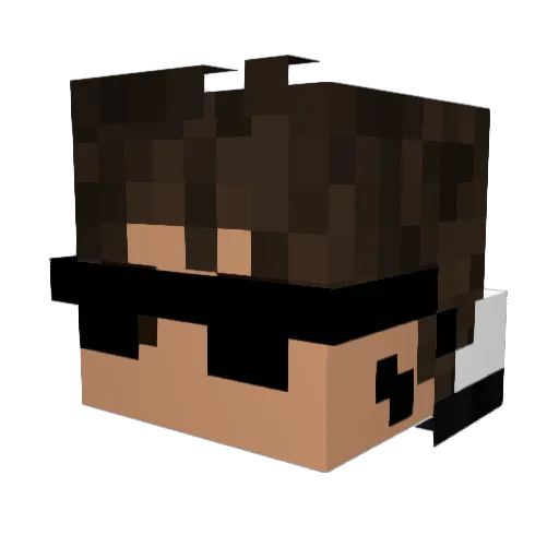NXGHTMXRELIAM Minecraft avatar head, 3D render