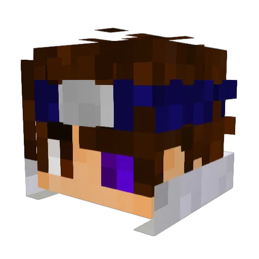 NXSAASTRO Minecraft avatar head, 3D render