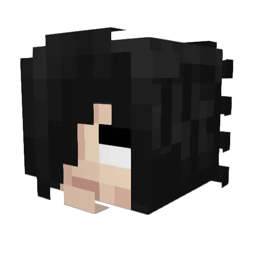 NXSK Minecraft avatar head, 3D render
