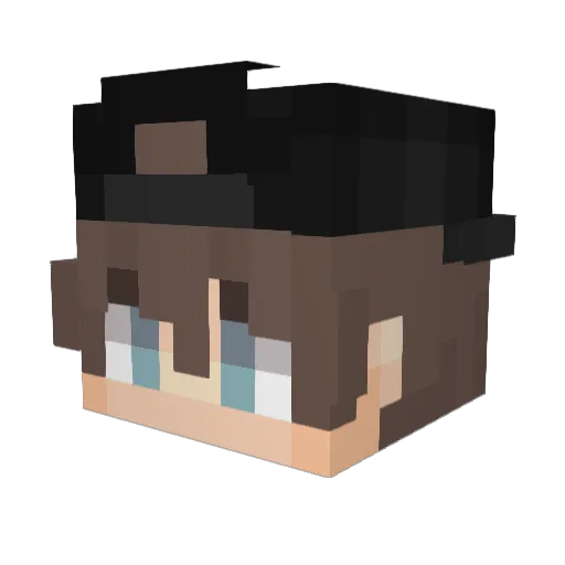 NXT_PxnCh Minecraft avatar head, 3D render