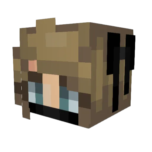NYAN_CAT_KITTY Minecraft avatar head, 3D render