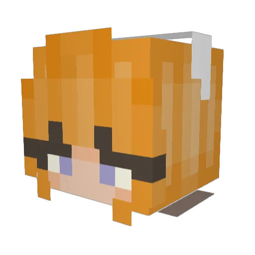 NYGRabidKoala Minecraft avatar head, 3D render