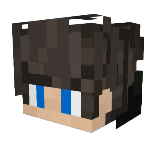 NYGUS___ Minecraft avatar head, 3D render