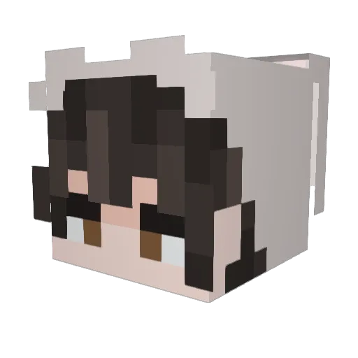 NYJets2005 Minecraft avatar head, 3D render