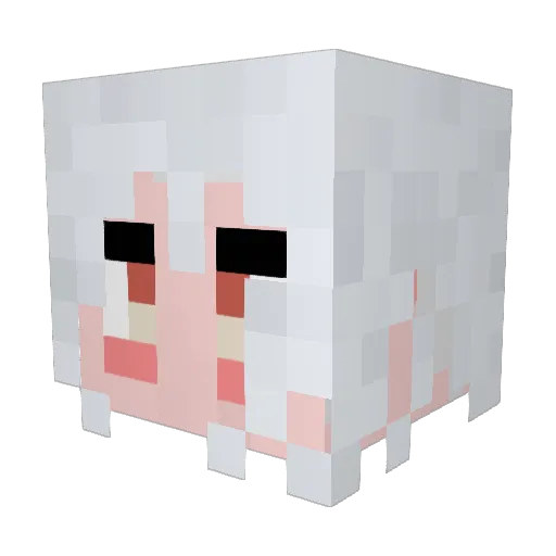 NY_Neo Minecraft avatar head, 3D render