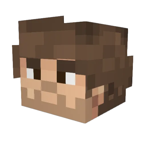 NZ1010 Minecraft avatar head, 3D render