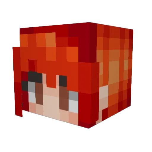 NZ_Man12369 Minecraft avatar head, 3D render