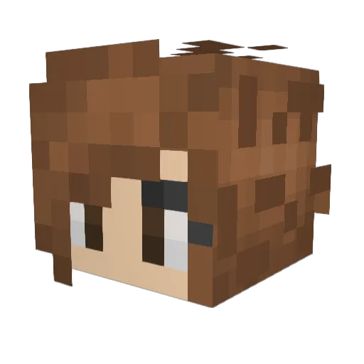 NZfarmer Minecraft avatar head, 3D render