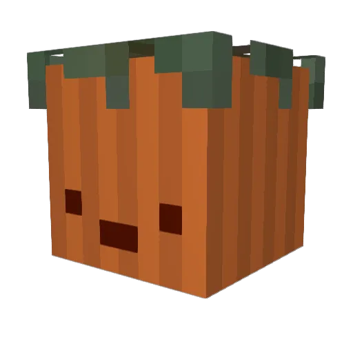 N_A_M_Z Minecraft avatar head, 3D render