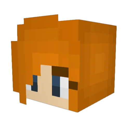 N_G_G Minecraft avatar head, 3D render