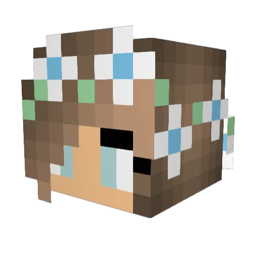 N_Grl Minecraft avatar head, 3D render