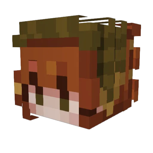 N_Koshkina Minecraft avatar head, 3D render