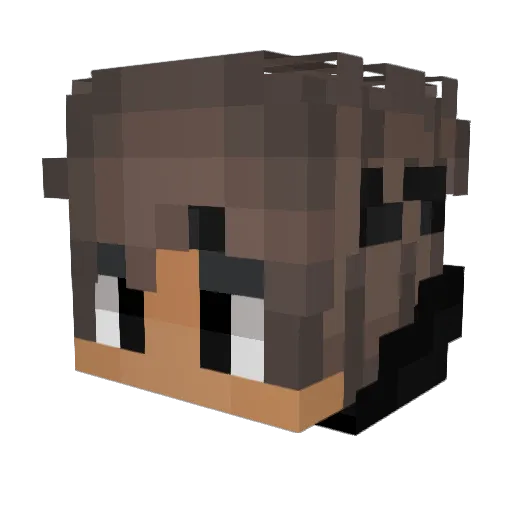 N_P_SUPER Minecraft avatar head, 3D render