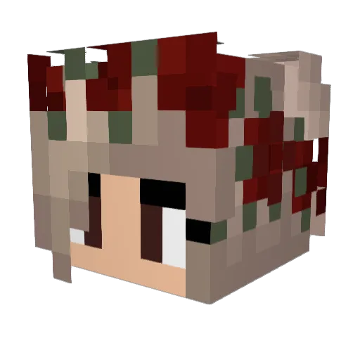 N_R_M11 Minecraft avatar head, 3D render