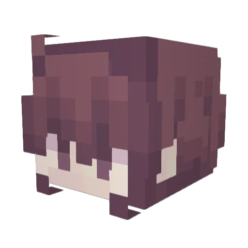 N_Rian Minecraft avatar head, 3D render