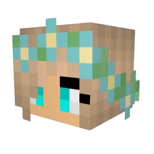 N_S_E_ Minecraft avatar head, 3D render