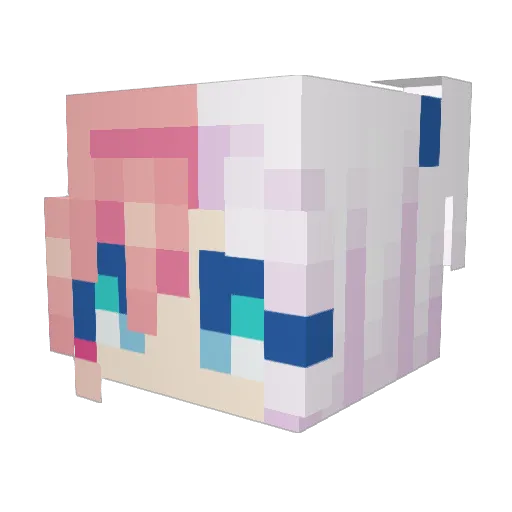 N_Silverfang Minecraft avatar head, 3D render