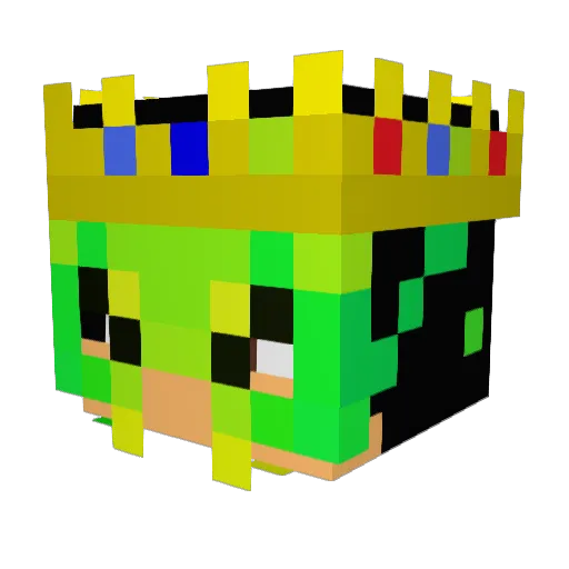 N_YOUR_FACE_PUNK Minecraft avatar head, 3D render