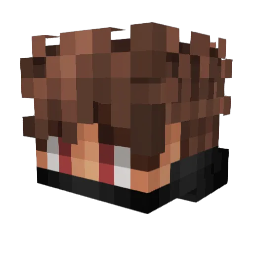 N_Zurc Minecraft avatar head, 3D render