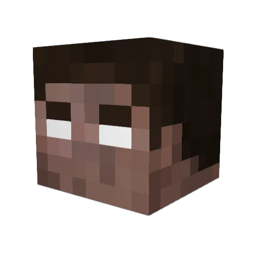 N_ber Minecraft avatar head, 3D render