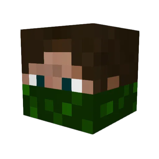 N_fire Minecraft avatar head, 3D render