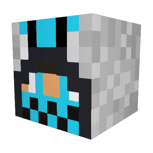 N_force21 Minecraft avatar head, 3D render