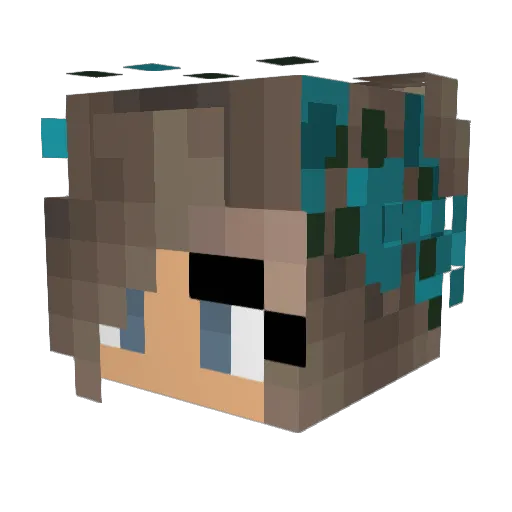 N_gamer606 Minecraft avatar head, 3D render
