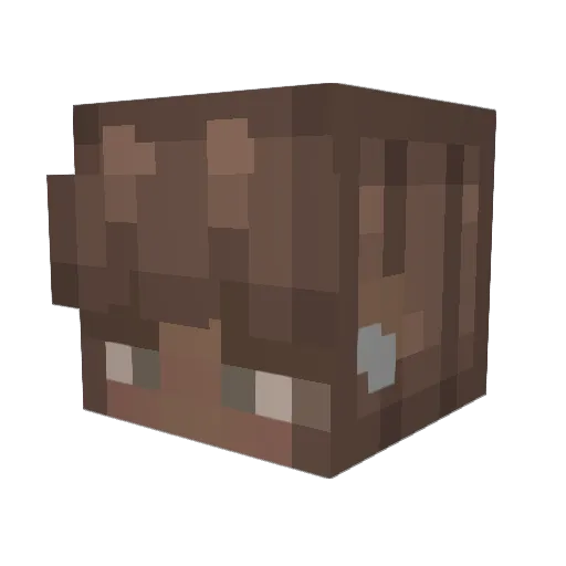 N_ggy Minecraft avatar head, 3D render