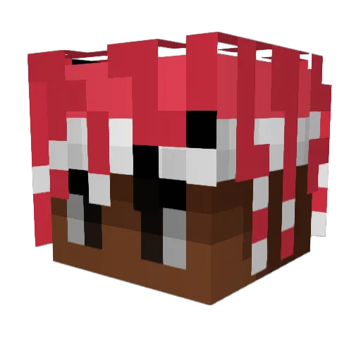 N_qoii Minecraft avatar head, 3D render