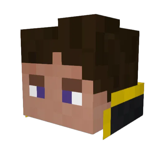 N_side Minecraft avatar head, 3D render