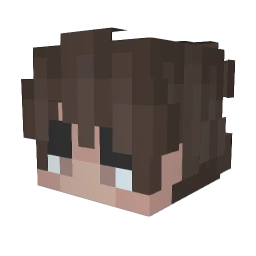 Na3iim Minecraft avatar head, 3D render