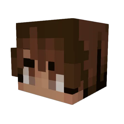 Na4our Minecraft avatar head, 3D render