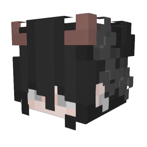 NaCl_Penguin Minecraft avatar head, 3D render