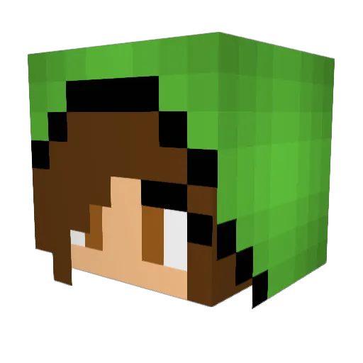 NaFsAlt9 Minecraft avatar head, 3D render