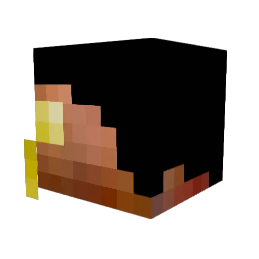 NaGe_Blitzz Minecraft avatar head, 3D render