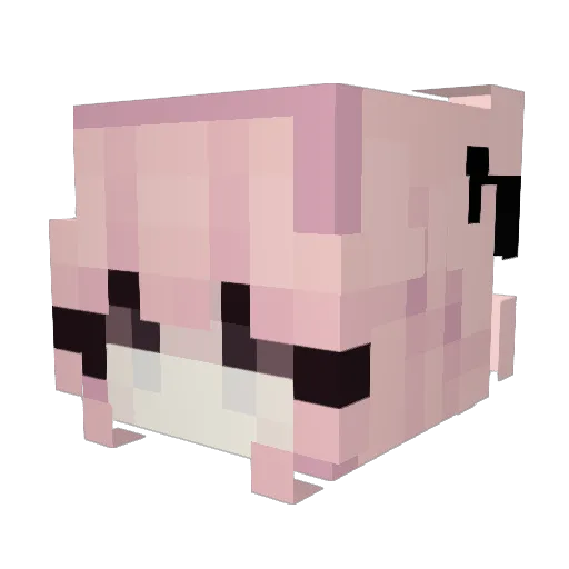NaMaE15 Minecraft avatar head, 3D render