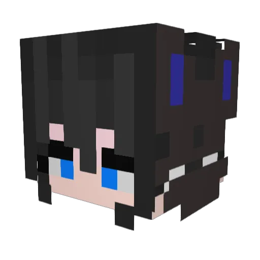 NaMeSeR Minecraft avatar head, 3D render