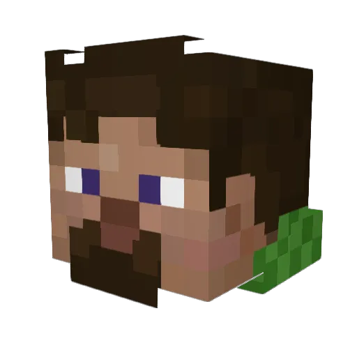 NaNNULL Minecraft avatar head, 3D render