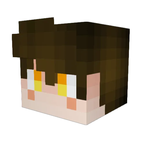 NaNReddy Minecraft avatar head, 3D render