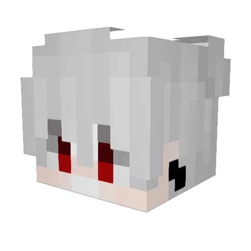 NaSHVF Minecraft avatar head, 3D render